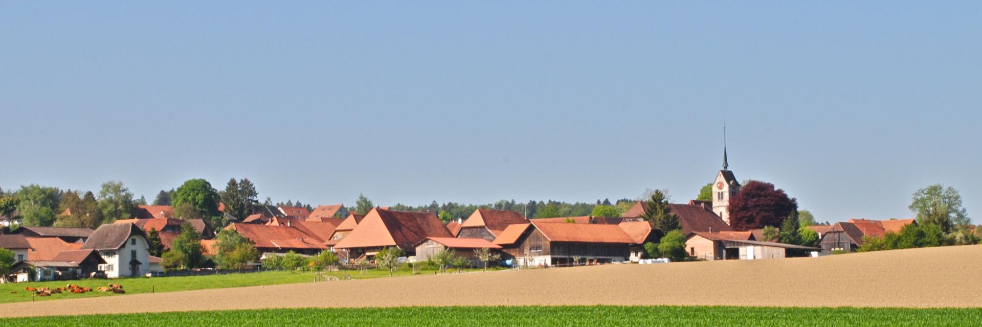 Messen südlich aufgenommen